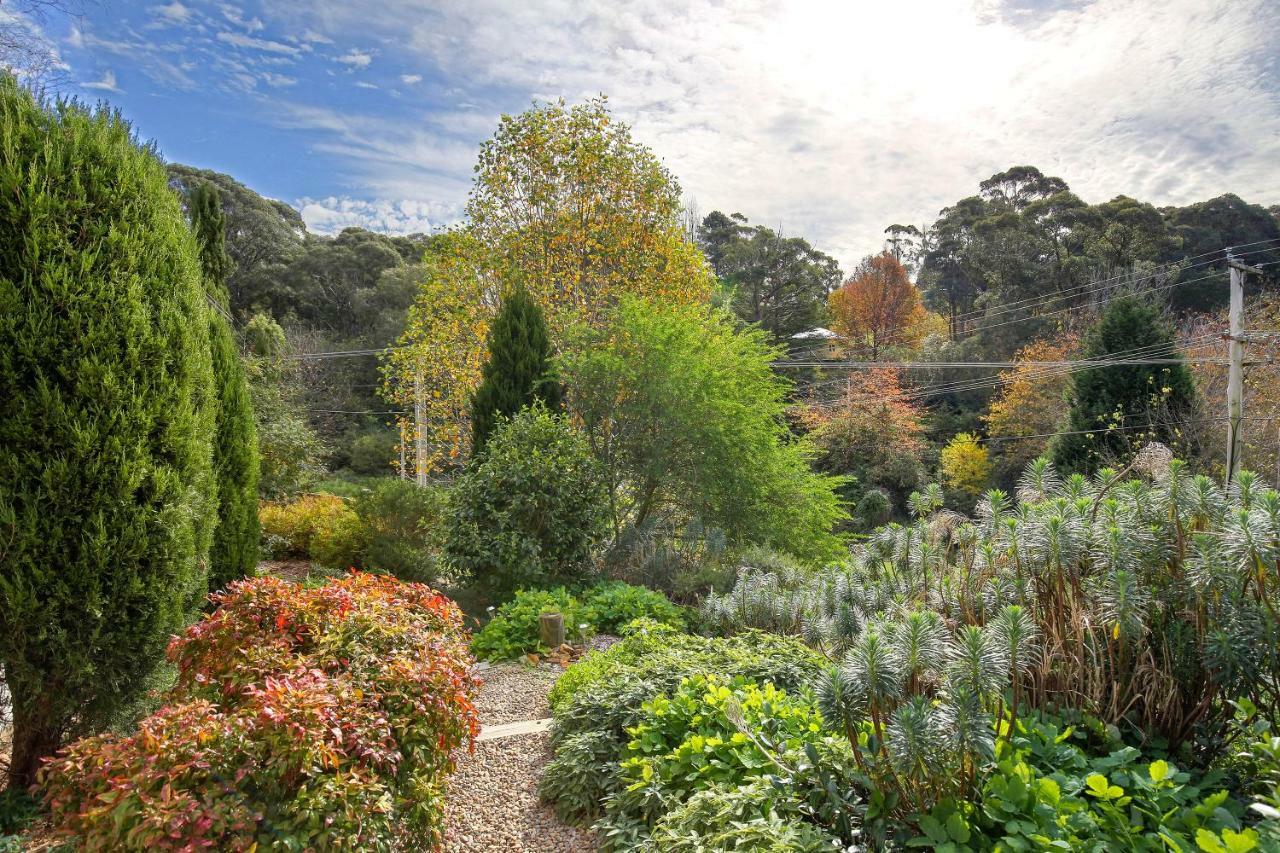 Hills Havens Cottages Leura Luaran gambar